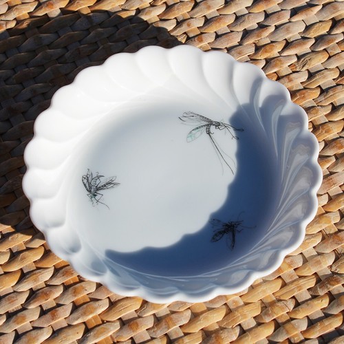 Petite coupelle insecte - , en