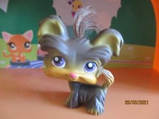 Petshop Chien Yorkshire #398 /