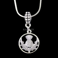 Écossais Chardon Fleur Floral