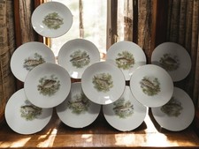 Lot 12 assiettes en porcelaine