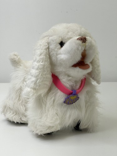 Gogo walkin puppy - gogo,