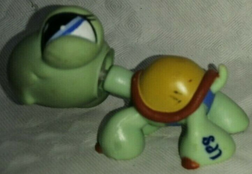 Rare tortue verte yeux - verte, bleu
