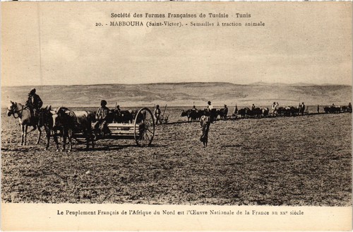 Cpa tunisia mabbouha - ak,