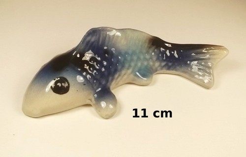 Magnifique poisson - magnifique, en