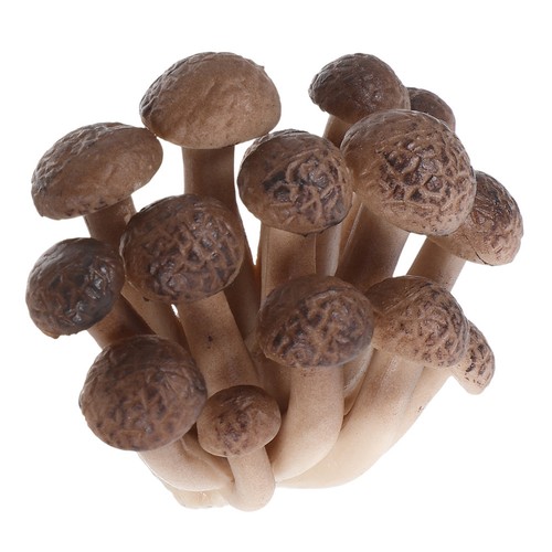 Ornement champignon - ornement, de