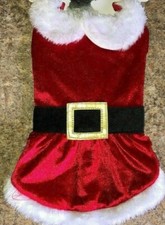 Mrs santa claus - dog, puppy