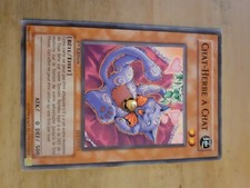 Chat Herbe à Chat FET fr013 Commune VF