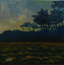 huile couteau " CREPUSCULE SUR LA LANDE " artiste réf  DROUOT ARTPRICE AKOUN