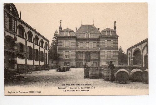 Champagne cpa vins - 51, vignes