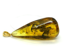 Pendentif Ambre Insecte Ambre