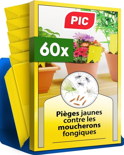 Pic anti moucherons - anti, plantes