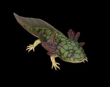 Fallout 76 - PC - Scaled Axolotl