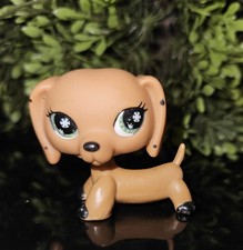 ✨️Littlest Pet Shop