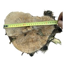 bois de buis,ébénisterie,tournage,coutellerie