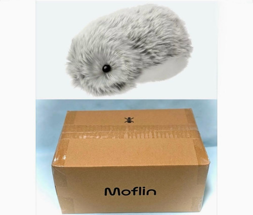 Casio pet moflin - casio,