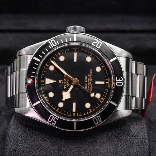 Tudor black bay 79230n - bay,