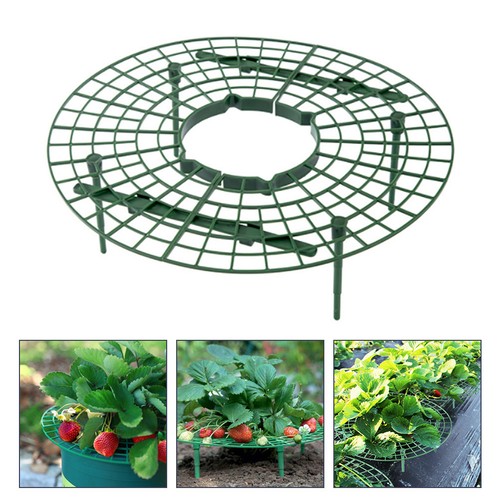 Pcs trellis pour plante - 5,