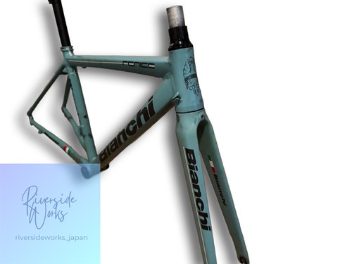 Bianchi fenice elite frame - 47,