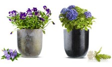 2 X Cache-Pot En Métal Pot De