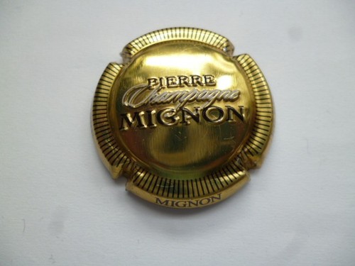 Capsule champagne mignon - champagne,