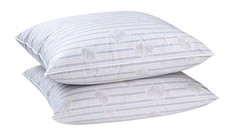 Lot de 2 oreillers en plumes