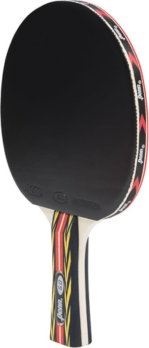 Professional ping pong - 5.0,