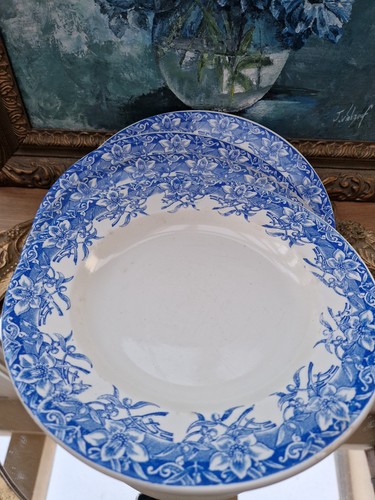 Assiettes creuses terre de - terre,