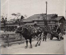 Japon, Kyoto, Attelage de boeuf, Vintage print, ca.1910 Tirage vintage tirage 