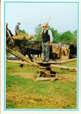 CP - Scènes normandes traditions - Manège à chevaux pour actionner la batteuse