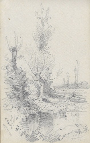 Noirot arbres bord - au, d’une