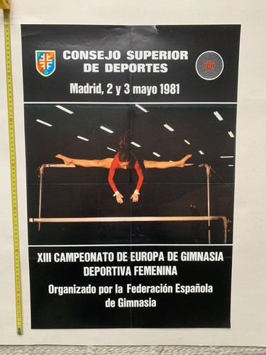 13th european gymnastics