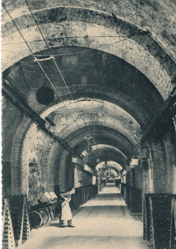 Carte postale champagne - carte,