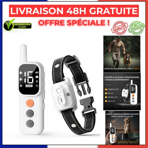 Collier dressage chien - de,