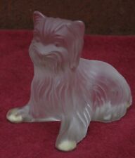 rare magnifique chat chien