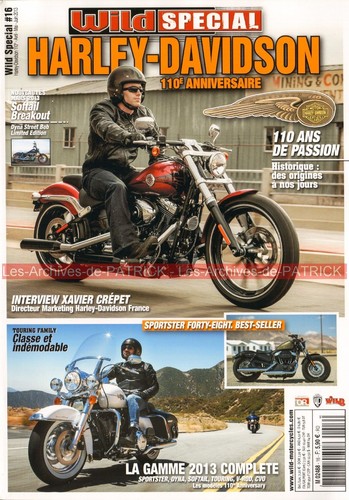 Wild harley davidson - wild, hs