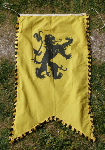 Pavillon drapeau lion - lion, des