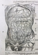 Gastro Entérologie en 1585