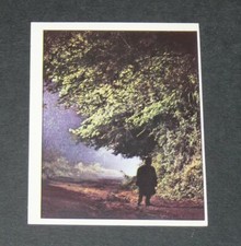 N°149 FILM LES AVENTURES DE PINOCCHIO PANINI 1972 COMENCINI BALESTRI MANFREDI