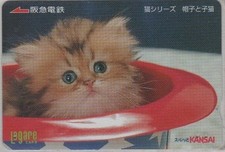 Carte JAPON - ANIMAL  CHAT