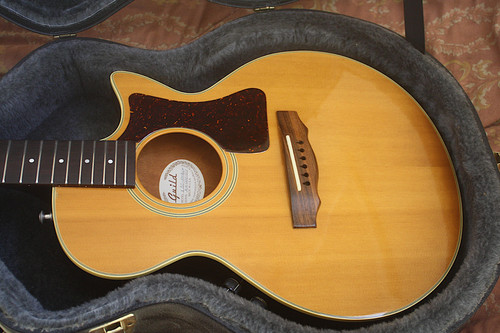 1988 guild songbird - 1988,