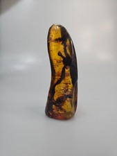 Ambre sans fossile. Aucune