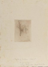 Katharina Weissenborn, Hiver