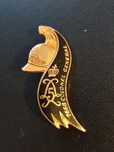 Insigne drago paris g - 5,