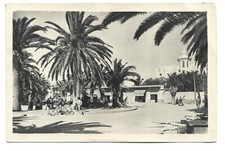 TUNISIE  HAMMAM LIF  LE ROND POINT