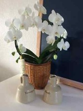 23 ⚜️ Service à Condiments Huile Et Vinaigre Serviteur En Grès