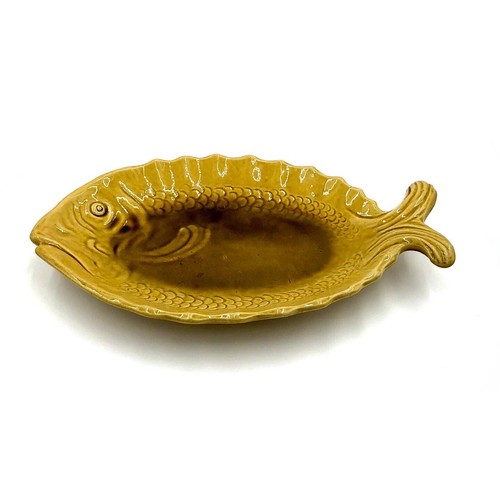 Aegitna imposant plat - aegitna,
