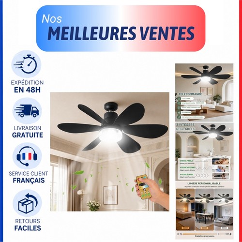 Ventilateur plafond avec - de,