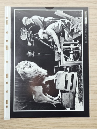 Studio magazine collection - studio,