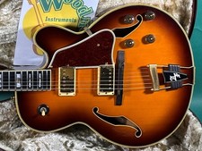 Ibanez AF-200 SB Electric