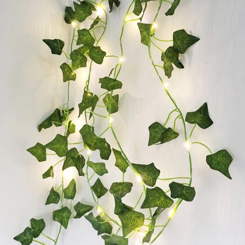 Feuilles érable de vigne - et,